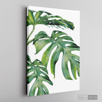 Cuadro Botánico Monstera Deliciosa