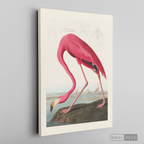 Cuadro Aves Flamenco Mayor