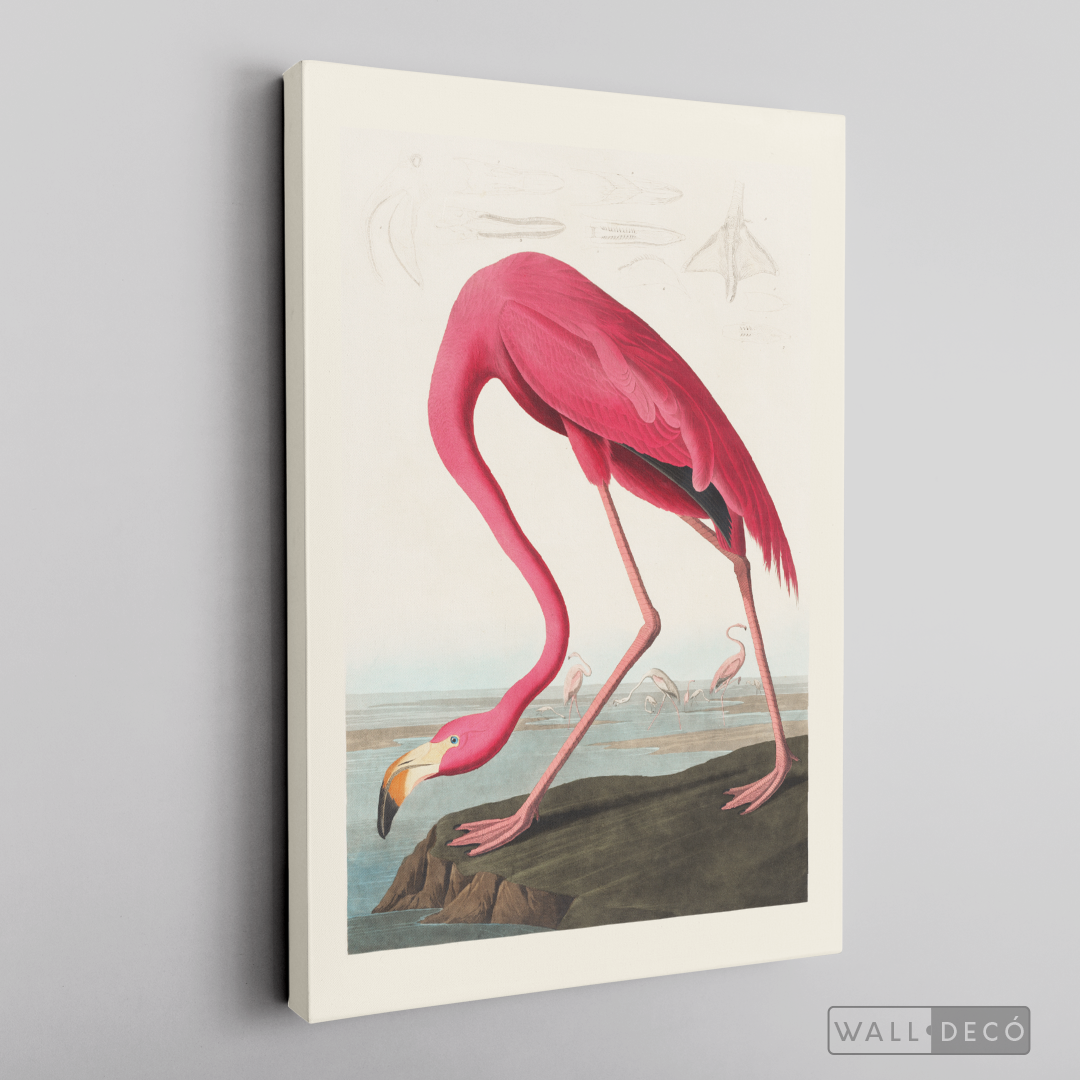 Cuadro Aves Flamenco Mayor