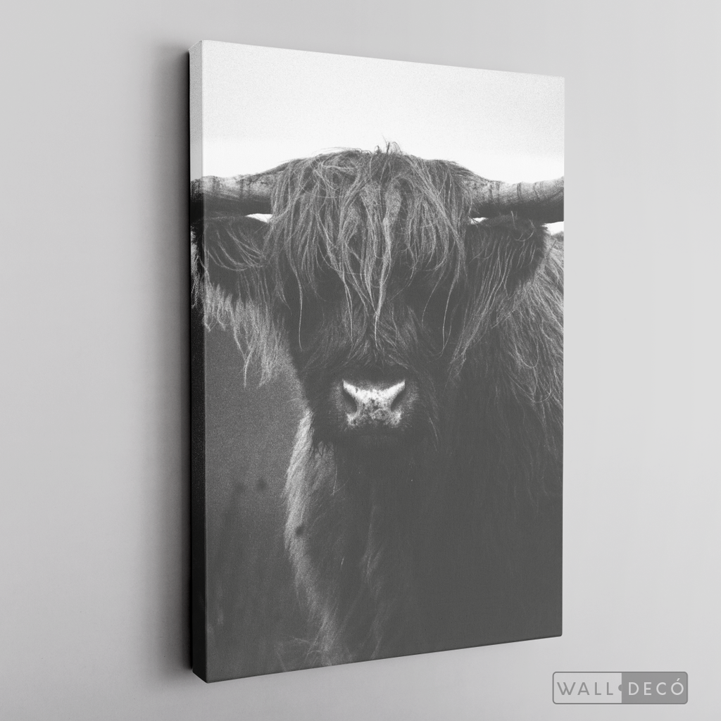 Cuadro Animales Bisonte