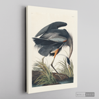 Cuadro Aves Garza