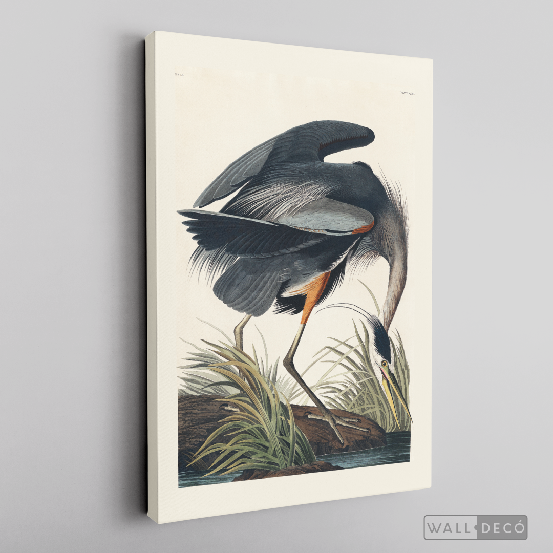 Cuadro Aves Garza