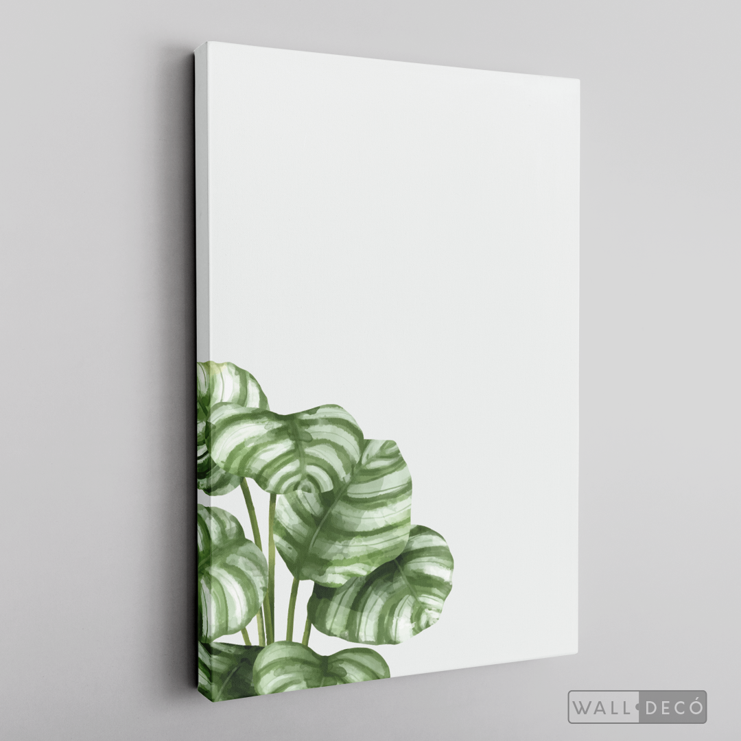 Cuadro Botánico GALATHEA - WalldecóStore
