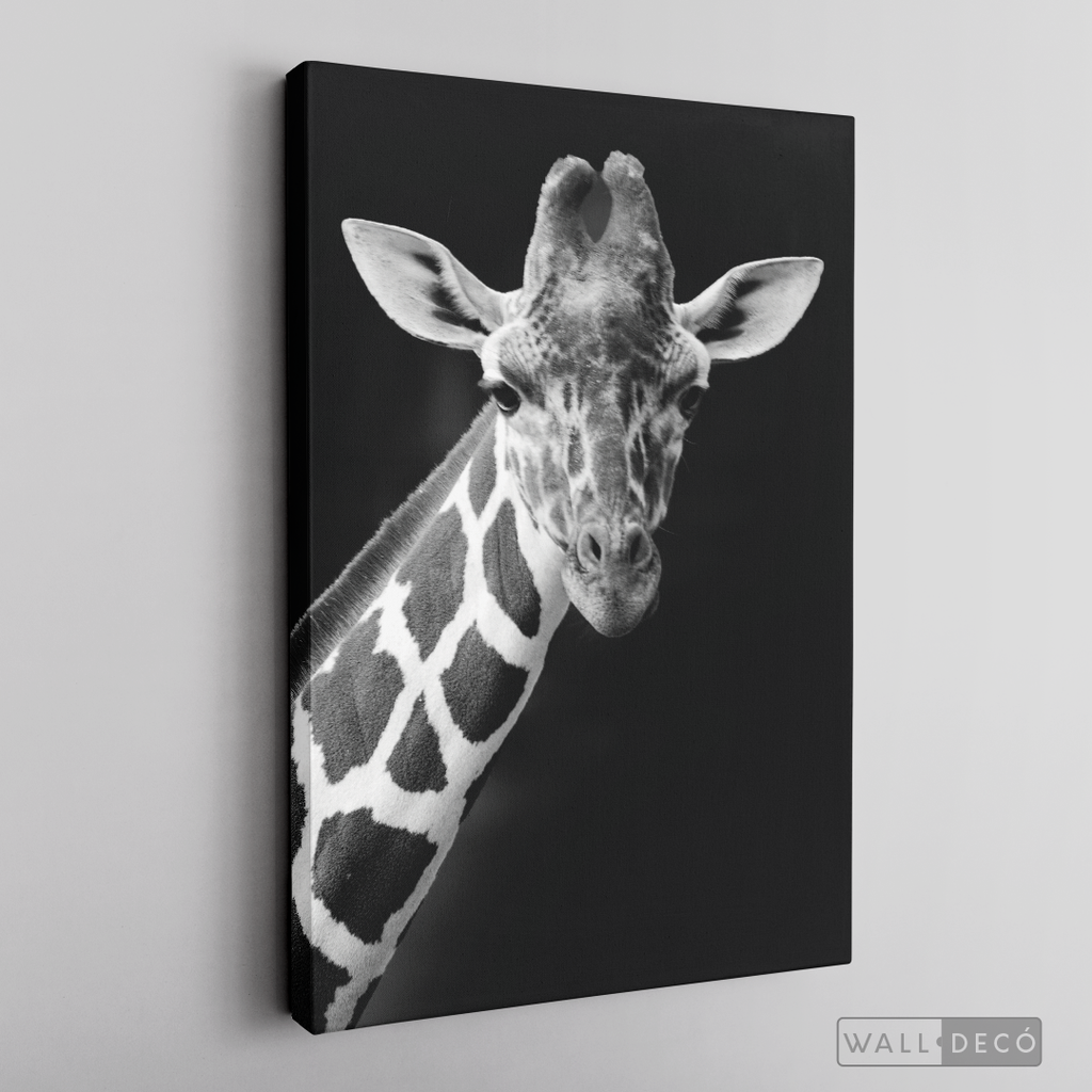 Cuadro Animales Jirafa B/N