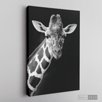 Cuadro Animales Jirafa B/N