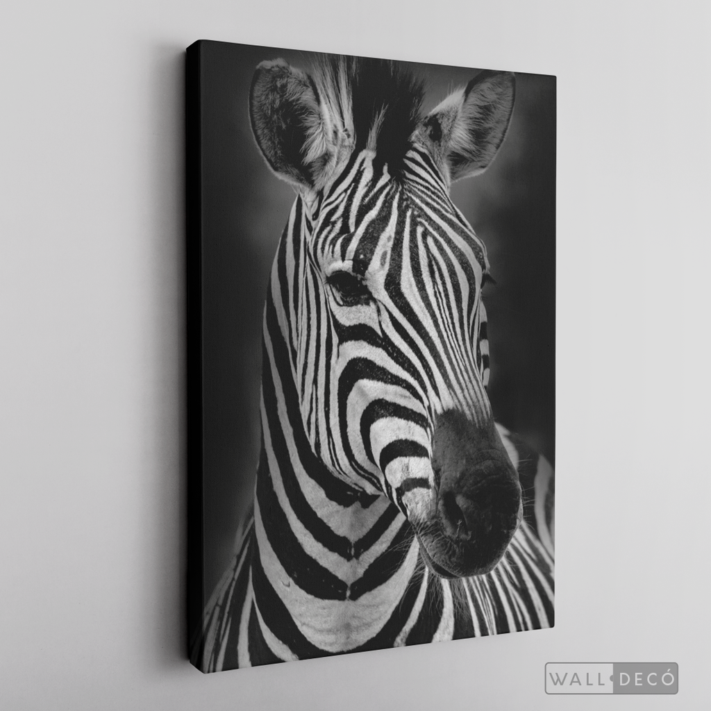 Cuadro Animales Cebra B/N