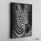 Cuadro Animales Cebra B/N
