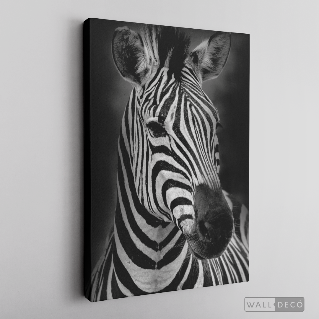 Cuadro Animales Cebra B/N