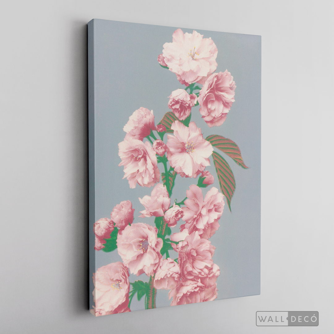 Cuadro Botánico Flores Alma