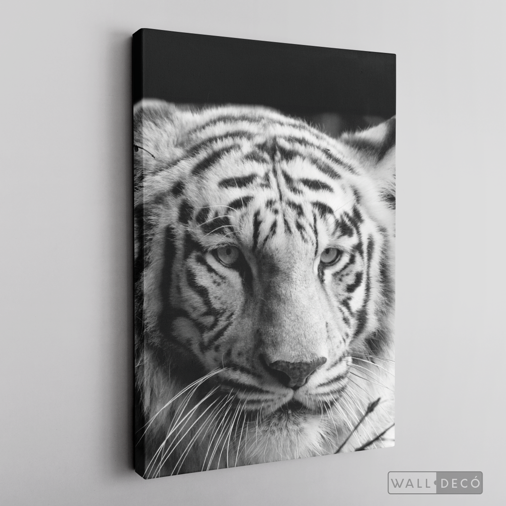 Cuadro Animales Tigre Blanco B/N