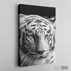 Cuadro Animales Tigre Blanco B/N