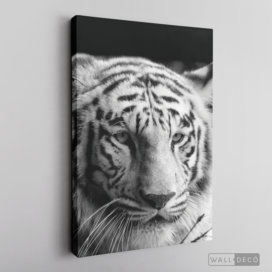 Cuadro Animales Tigre Blanco B/N