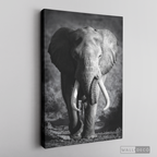 Cuadro Animales Elefante Real B/N
