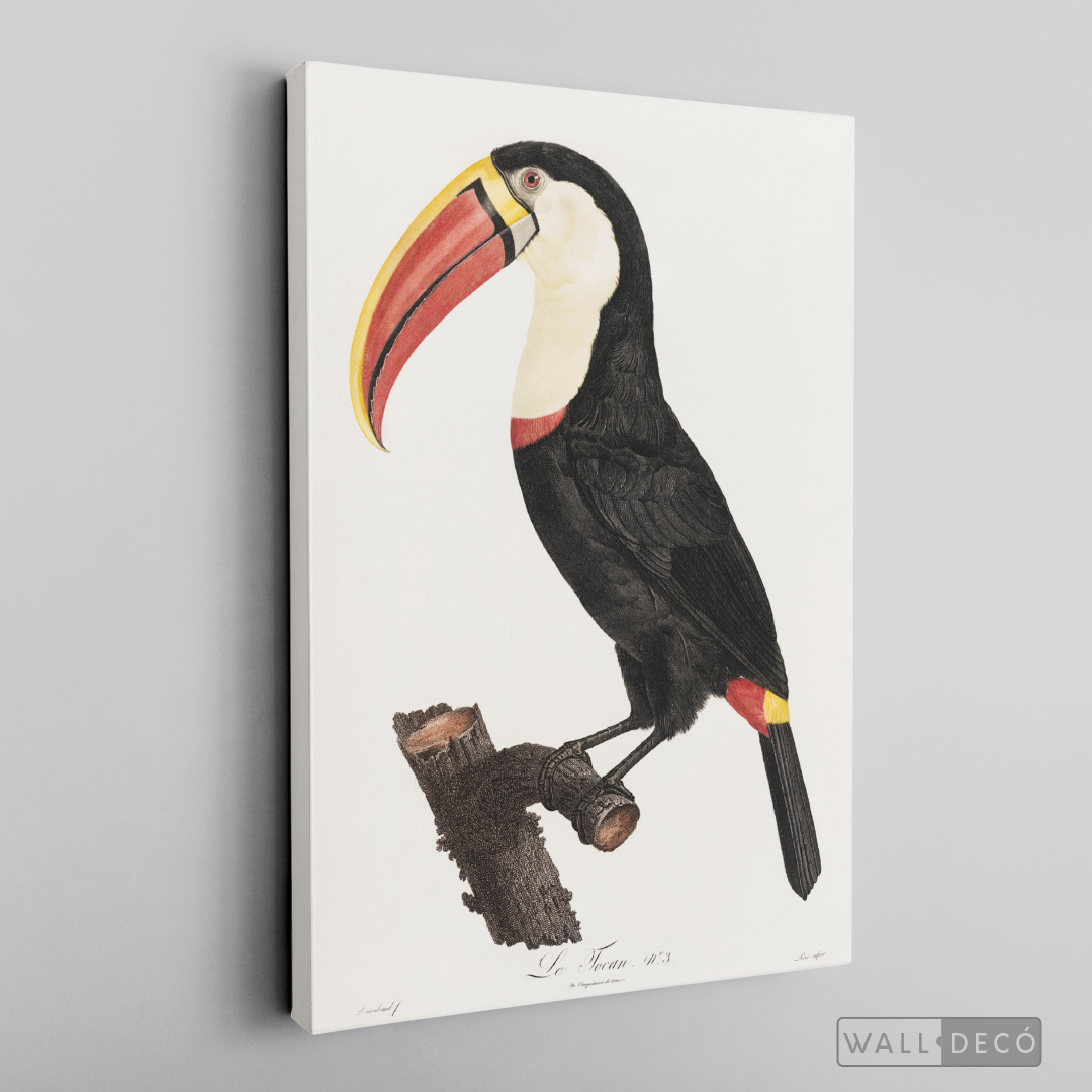 Cuadro Aves Tucan Colombiano 2