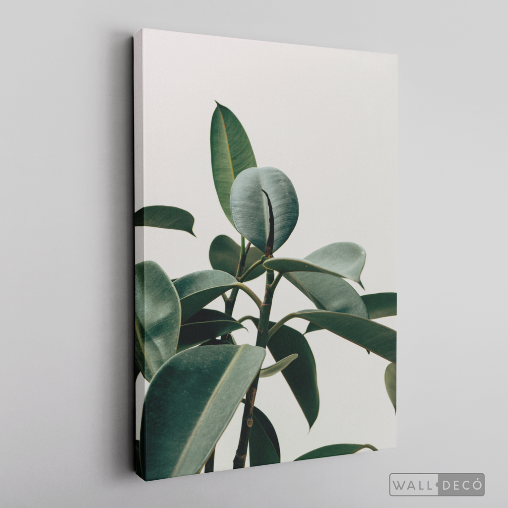 Cuadro Botánico CHEFLERA - WalldecóStore