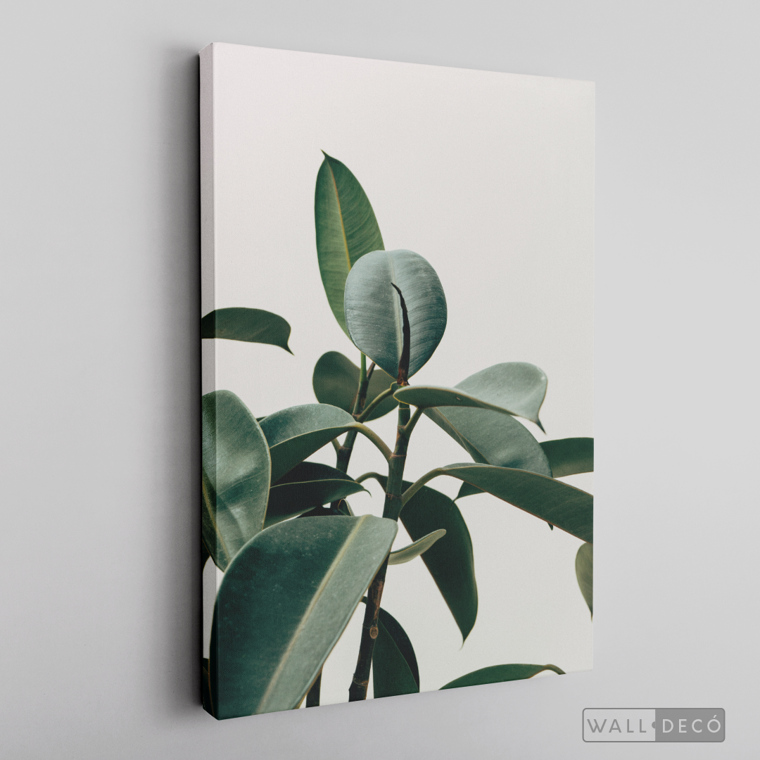 Cuadro Botánico CHEFLERA - WalldecóStore