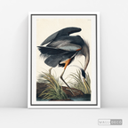 Cuadro Aves Garza