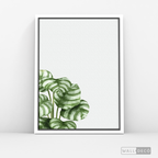Cuadro Botánico GALATHEA - WalldecóStore