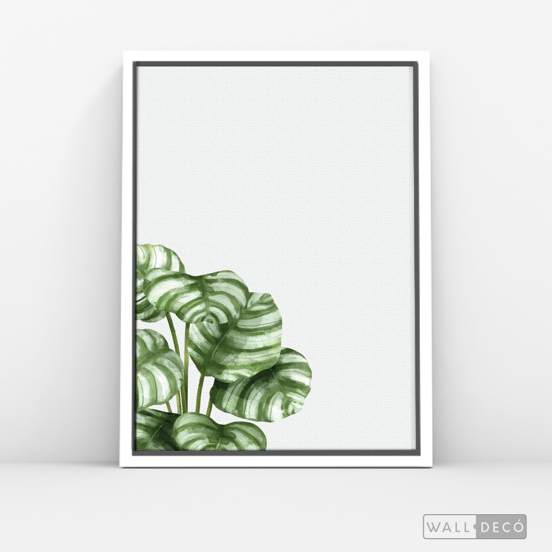 Cuadro Botánico GALATHEA - WalldecóStore