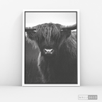 Cuadro Animales Bisonte