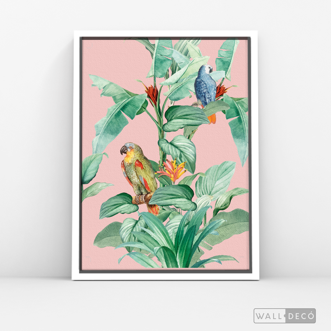 Cuadro Aves Loro Real