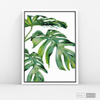 Cuadro Botánico Monstera Deliciosa