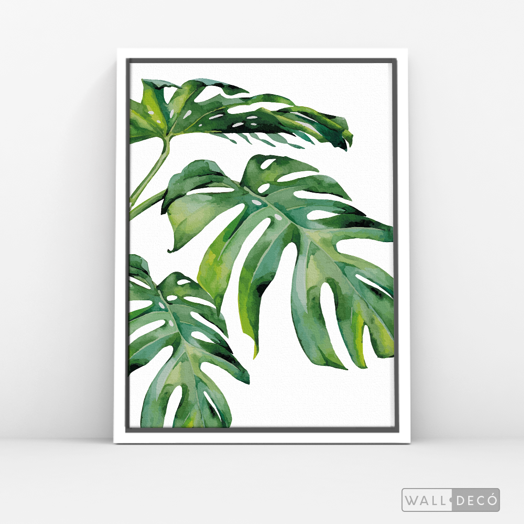 Cuadro Botánico Monstera Deliciosa