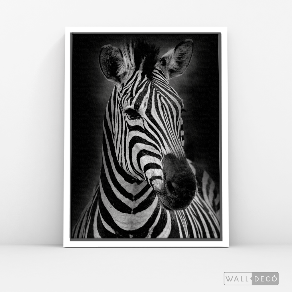 Cuadro Animales Cebra B/N