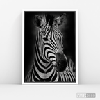 Cuadro Animales Cebra B/N