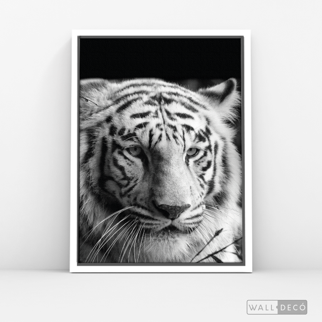 Cuadro Animales Tigre Blanco B/N