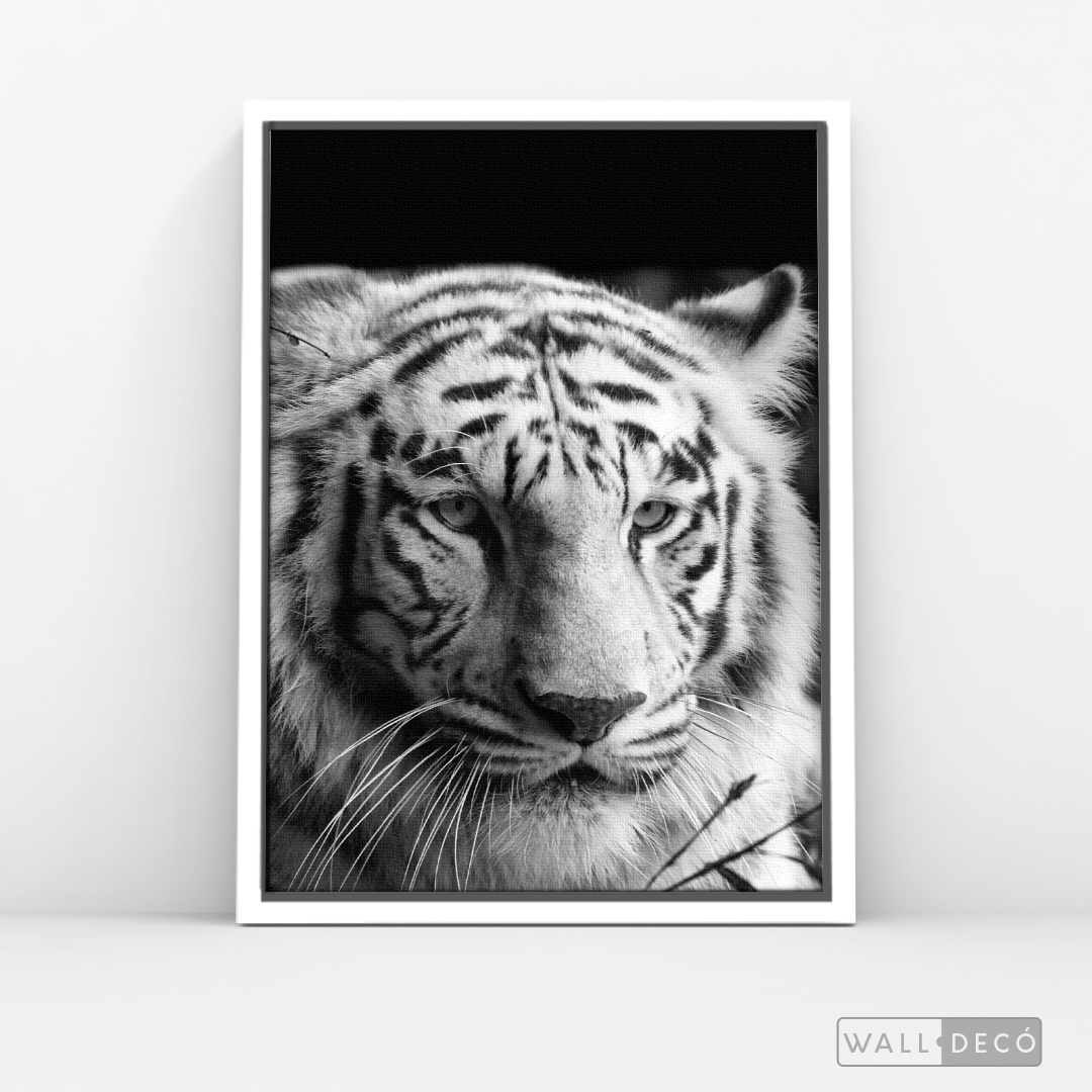 Cuadro Animales Tigre Blanco B/N