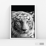 Cargar imagen en el visor de la galería, Cuadro Animales Tigre Blanco B/N
