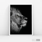 Cuadro Animales León (A) B/N