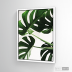 Cuadro Botánico BALAZO REAL - WalldecóStore