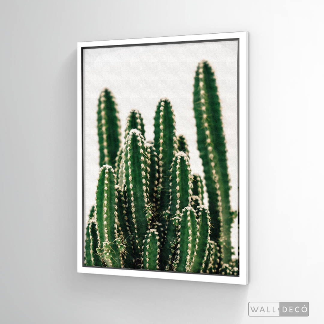 Cuadro Botánico CACTUS - WalldecóStore