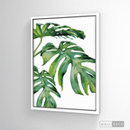 Cuadro Botánico Monstera Deliciosa
