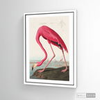 Cuadro Aves Flamenco Mayor