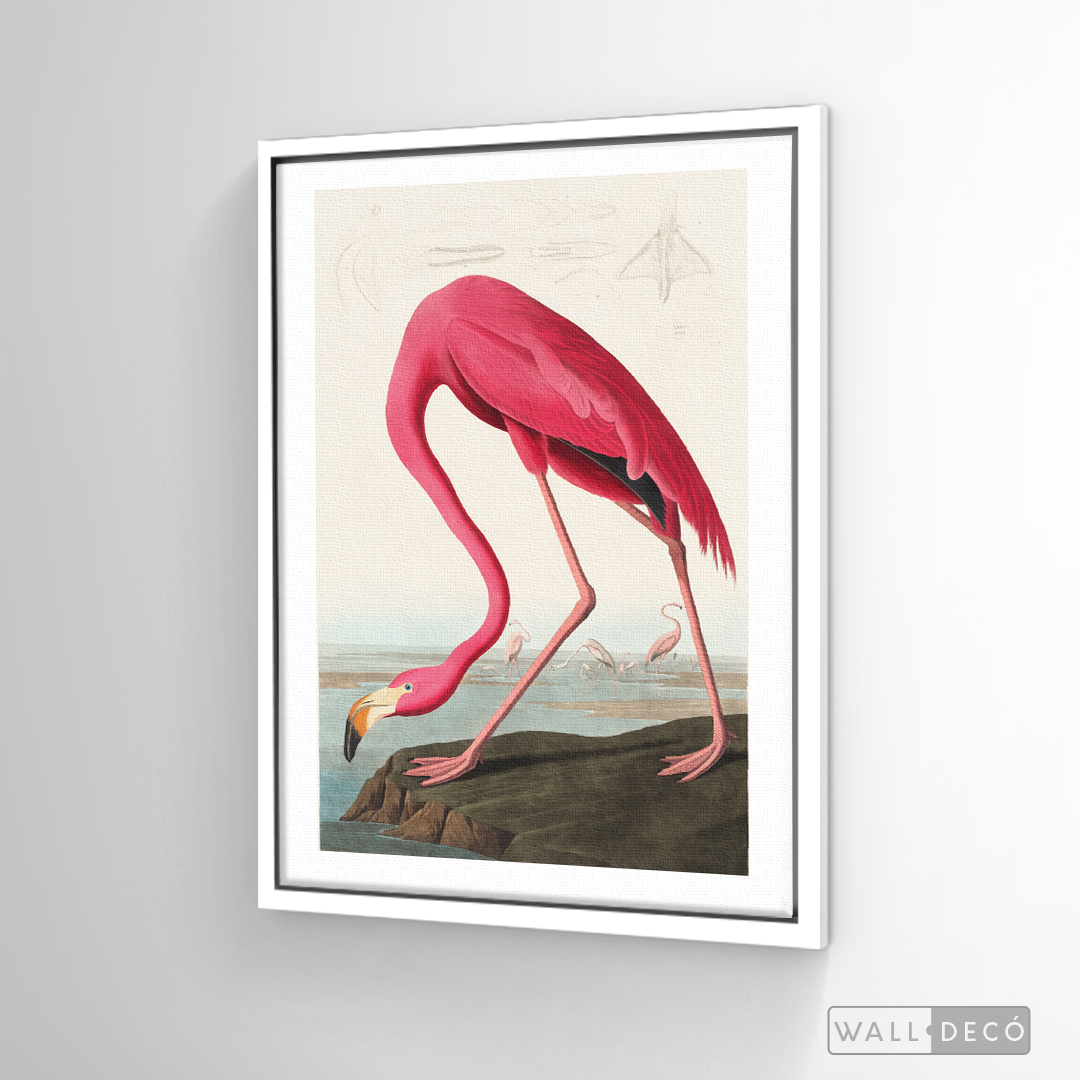 Cuadro Aves Flamenco Mayor