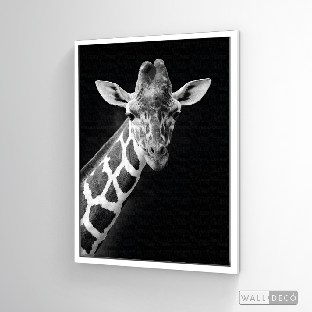 Cuadro Animales Jirafa B/N