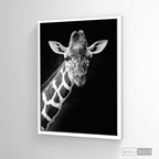 Cuadro Animales Jirafa B/N