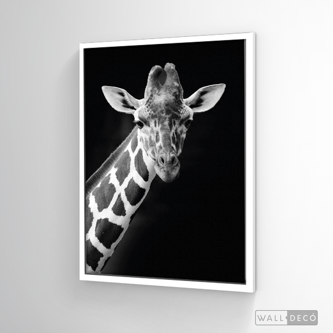 Cuadro Animales Jirafa B/N