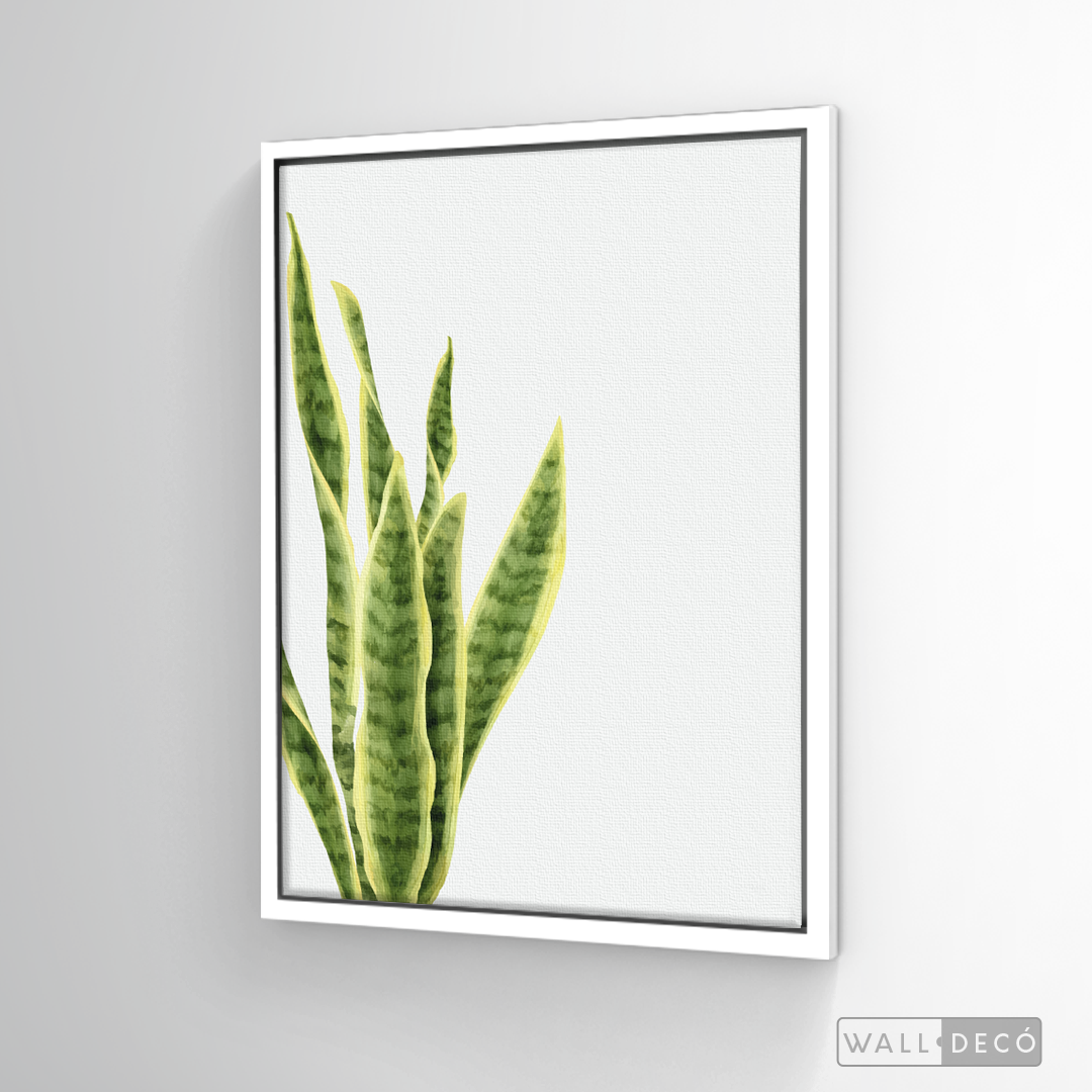 Cuadro Botánico SANSEVIERA - WalldecóStore