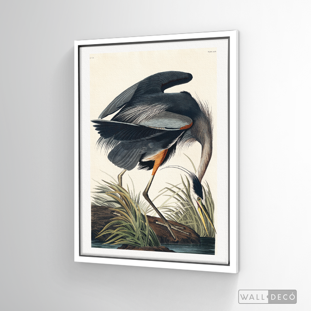 Cuadro Aves Garza