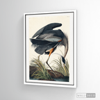 Cuadro Aves Garza