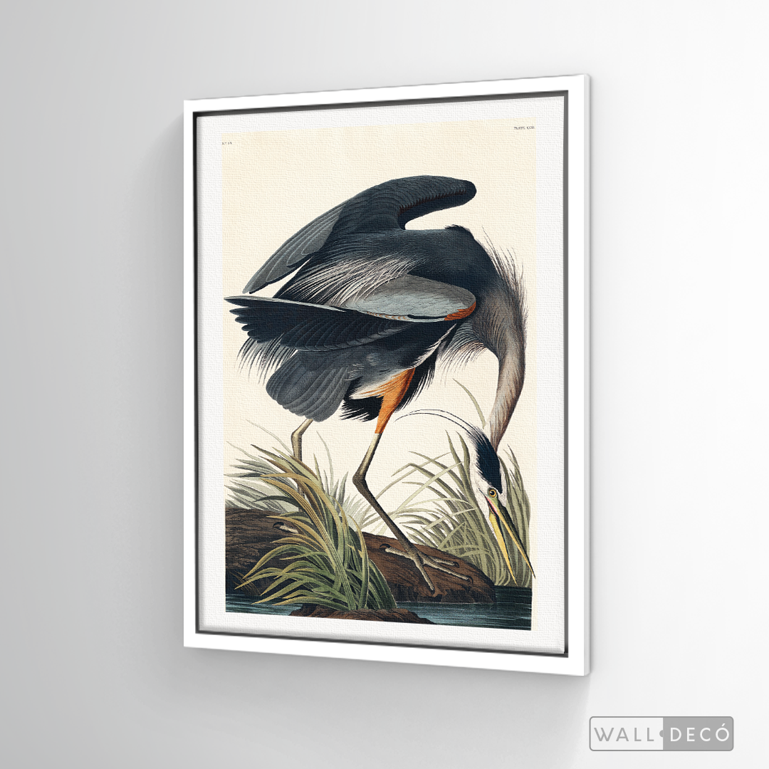 Cuadro Aves Garza