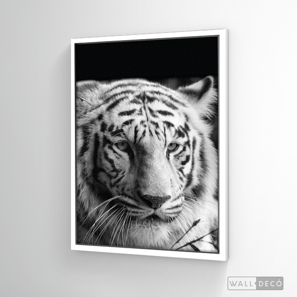 Cuadro Animales Tigre Blanco B/N