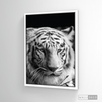 Cuadro Animales Tigre Blanco B/N