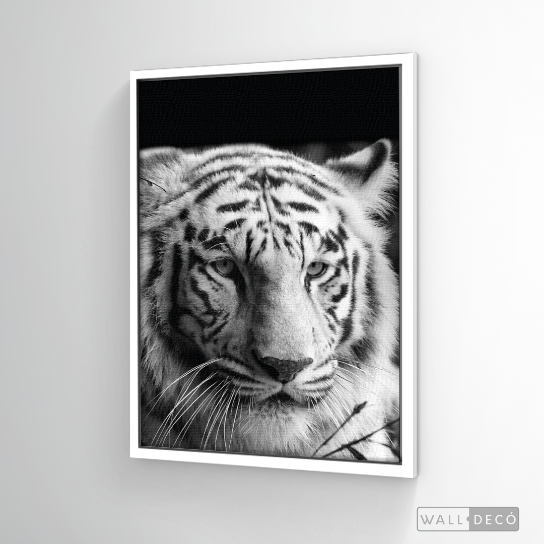 Cuadro Animales Tigre Blanco B/N