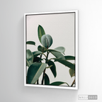 Cuadro Botánico CHEFLERA - WalldecóStore