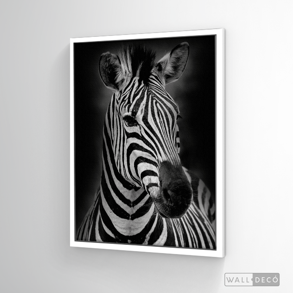 Cuadro Animales Cebra B/N